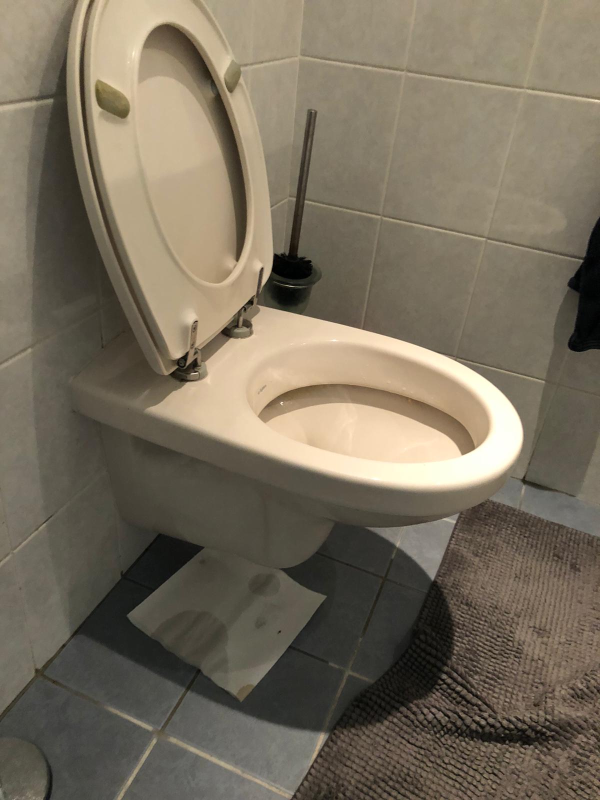 hangtoilet Zaandam